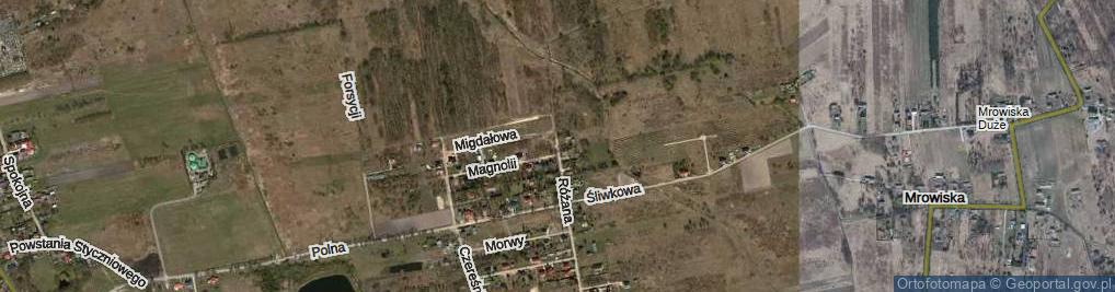 Zdjęcie satelitarne Różana ul.